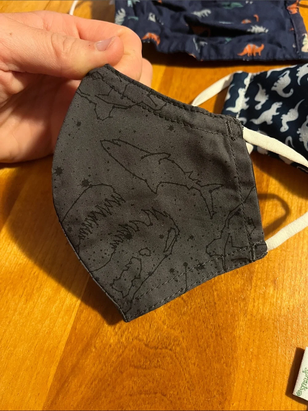Kids Navy Dinosaur Face Mask Set - Reusable Washable